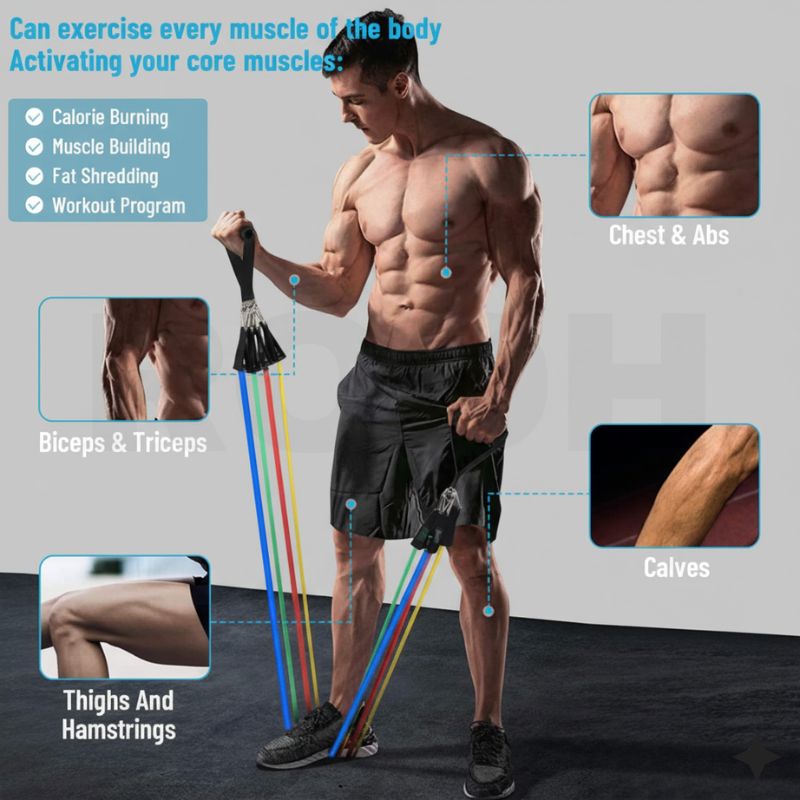 Resistance Bands & Tubes | Full Body Workout, Strength Training, Rehab & Home Fitness Exercise Bands – Light to Heavy Portable Gym Set